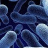 microbiologyasm